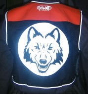 Wolf 002 Rear