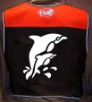 dolphinsback