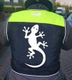 geckoback