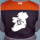 irelandback1