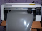 cutting