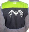 spider